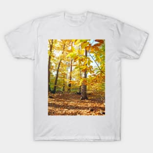 Woodland Trees in Autumn T-Shirt